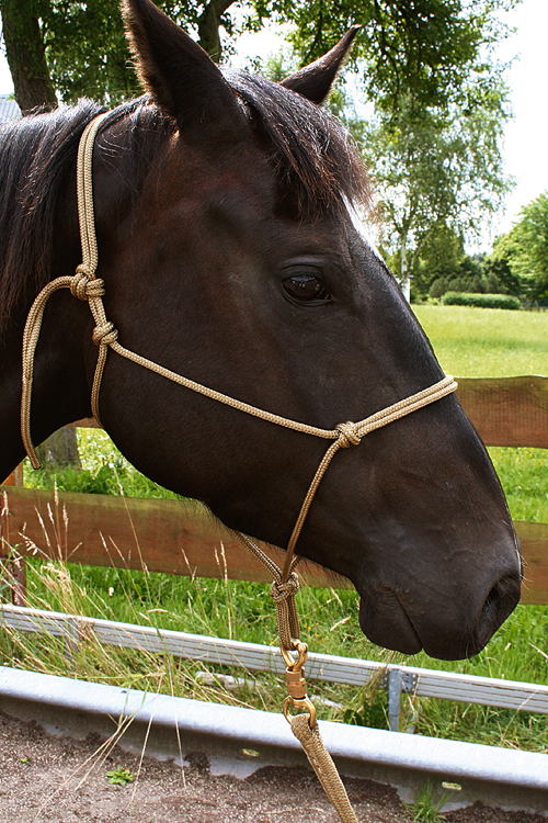 Naturalkids® Knotenhalfter